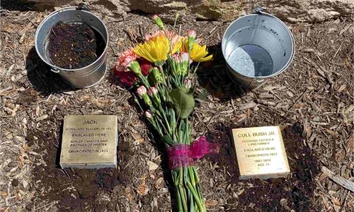 stones and flowers